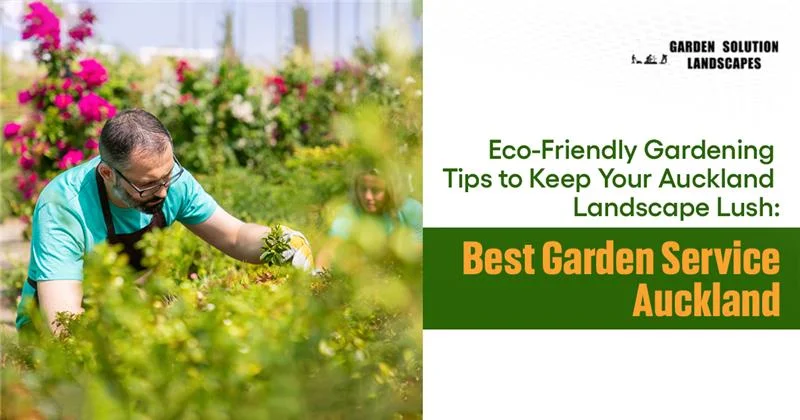Eco-Friendly Gardening Tips to Keep Your Auckland Landscape Lush Best Garden Service Auckland banner-image