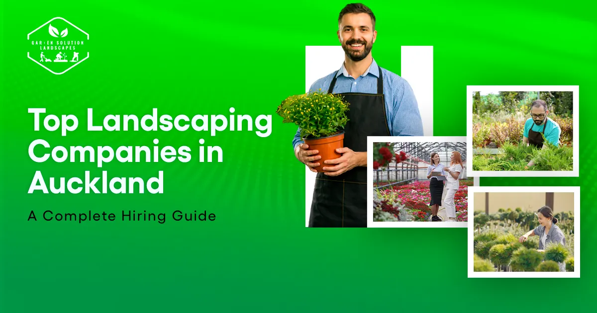 Top Landscaping Companies in Auckland – A Complete Hiring Guide