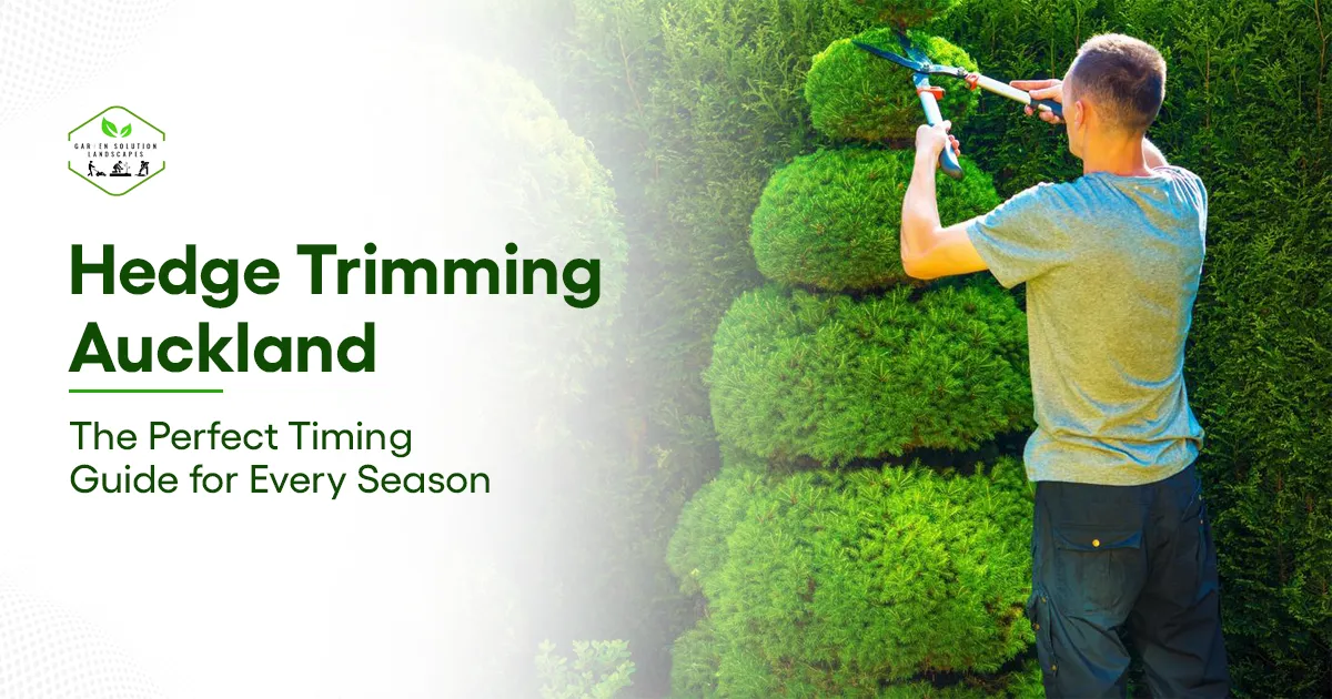 Hedge Trimming Auckland banner image