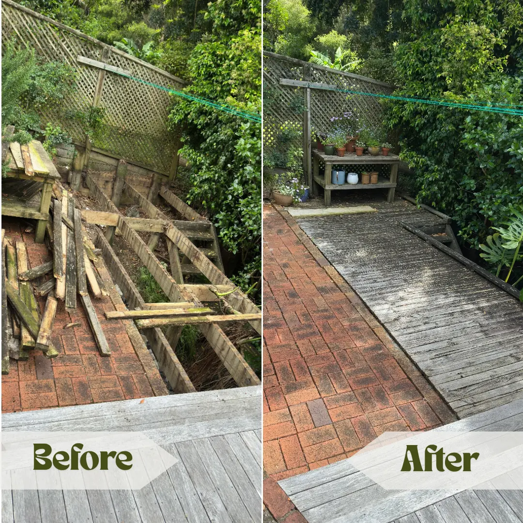outdoor space with expert Hedge Trimming Central Auckland services from Garden Solution Landscape 1