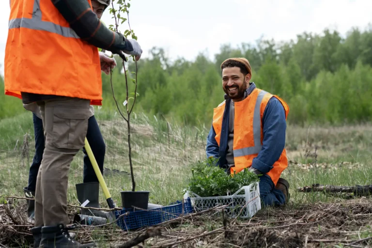 reforestation-done-by-voluntary-group
