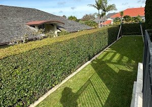 Garden Solution Landscapes place picture