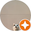 Yoyo Fan profile picture