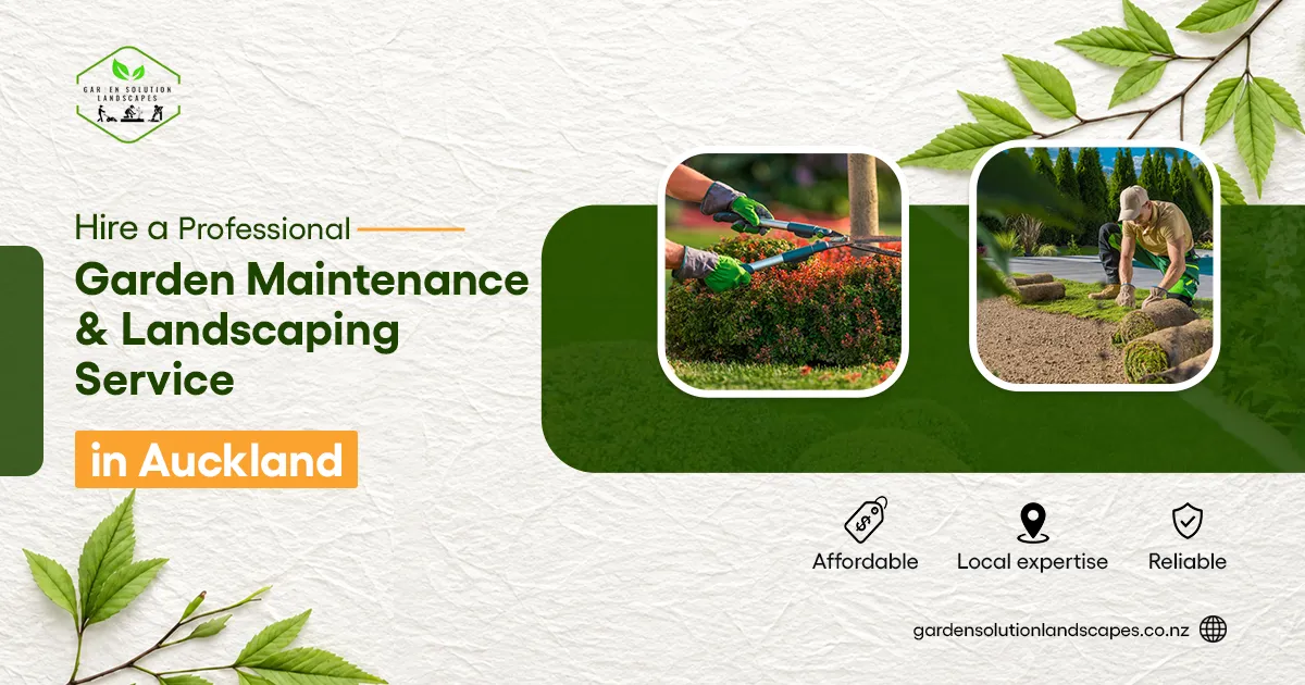 Hire a Professional Garden Maintenance and Landscaping Service in Auckland 1