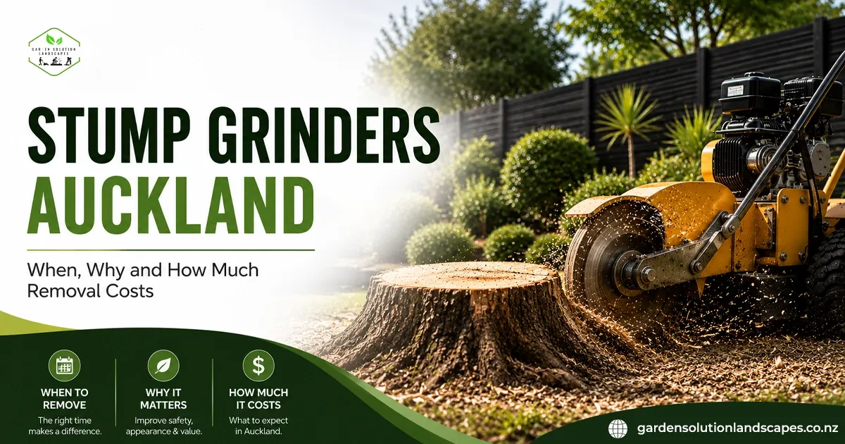 Stump Grinders AucklandWhen Why and How Much Removal CostsStump Grinders AucklandWhen Why and How Much Removal Costs