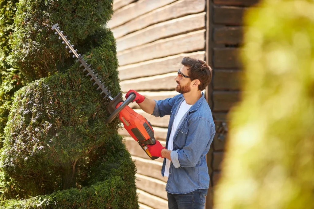 Gardener gardening