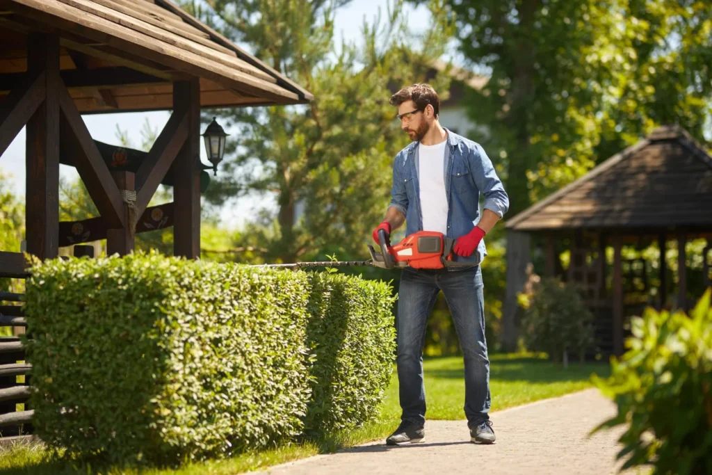 gardener