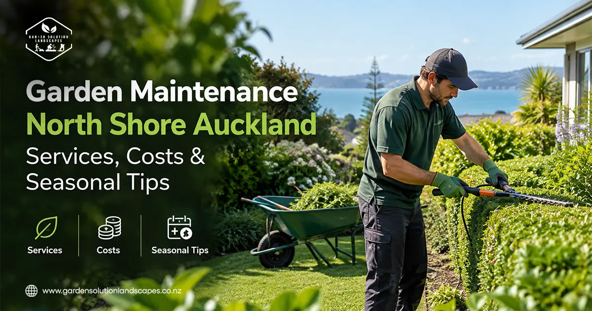 Garden Maintenance North Shore Auckland Services Costs & Seasonal Tips blog